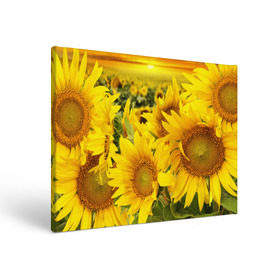 Холст прямоугольный с принтом Подсолнухи в Кировске, 100% ПВХ |  | Тематика изображения на принте: желтый | солнце | цветок | яркий