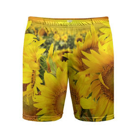 Мужские шорты 3D спортивные с принтом Подсолнухи в Кировске,  |  | желтый | солнце | цветок | яркий