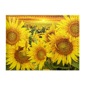 Обложка для студенческого билета с принтом Подсолнухи в Кировске, натуральная кожа | Размер: 11*8 см; Печать на всей внешней стороне | желтый | солнце | цветок | яркий