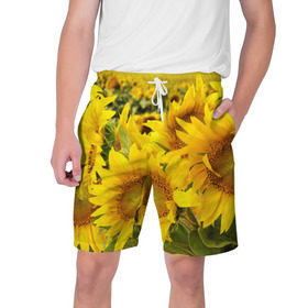 Мужские шорты 3D с принтом Подсолнухи в Кировске,  полиэстер 100% | прямой крой, два кармана без застежек по бокам. Мягкая трикотажная резинка на поясе, внутри которой широкие завязки. Длина чуть выше колен | желтый | солнце | цветок | яркий