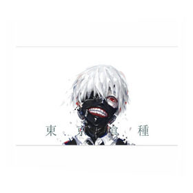 Бумага для упаковки 3D с принтом Tokyo Ghoul в Кировске, пластик и полированная сталь | круглая форма, металлическое крепление в виде кольца | anime | ghoul | tokyo | tokyo ghoul | гуль