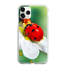Чехол для iPhone 11 Pro матовый с принтом Божья коровка в Кировске, Силикон |  | божья коровка | насекомое | цветок