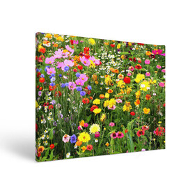 Холст прямоугольный с принтом Полевые цветы 1 в Кировске, 100% ПВХ |  | поле | полевые цветы | цветы
