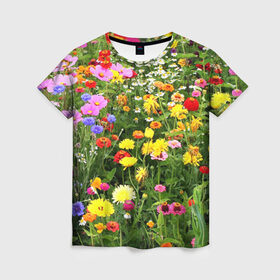 Женская футболка 3D с принтом Полевые цветы 1 в Кировске, 100% полиэфир ( синтетическое хлопкоподобное полотно) | прямой крой, круглый вырез горловины, длина до линии бедер | поле | полевые цветы | цветы