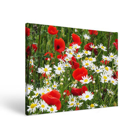 Холст прямоугольный с принтом Полевые цветы 2 в Кировске, 100% ПВХ |  | поле | полевые цветы | цветы