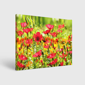 Холст прямоугольный с принтом Полевые цветы 5 в Кировске, 100% ПВХ |  | поле | полевые цветы | цветы