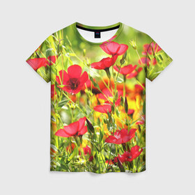Женская футболка 3D с принтом Полевые цветы 5 в Кировске, 100% полиэфир ( синтетическое хлопкоподобное полотно) | прямой крой, круглый вырез горловины, длина до линии бедер | поле | полевые цветы | цветы
