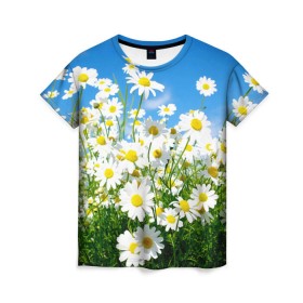 Женская футболка 3D с принтом Полевые цветы 7 в Кировске, 100% полиэфир ( синтетическое хлопкоподобное полотно) | прямой крой, круглый вырез горловины, длина до линии бедер | поле | полевые цветы | цветы