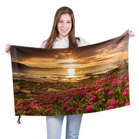 Флаг 3D с принтом Полевые цветы 9 в Кировске, 100% полиэстер | плотность ткани — 95 г/м2, размер — 67 х 109 см. Принт наносится с одной стороны | поле | полевые цветы | цветы
