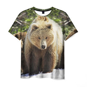 Мужская футболка 3D с принтом Медведи в Кировске, 100% полиэфир | прямой крой, круглый вырез горловины, длина до линии бедер | Тематика изображения на принте: звери | медведь | мишка | природа