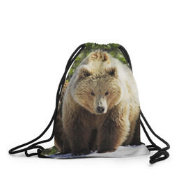 Рюкзак-мешок 3D с принтом Медведи в Кировске, 100% полиэстер | плотность ткани — 200 г/м2, размер — 35 х 45 см; лямки — толстые шнурки, застежка на шнуровке, без карманов и подкладки | Тематика изображения на принте: звери | медведь | мишка | природа