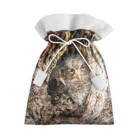 Подарочный 3D мешок с принтом Совы в Кировске, 100% полиэстер | Размер: 29*39 см | звери | природа | птицы | сова | сыч