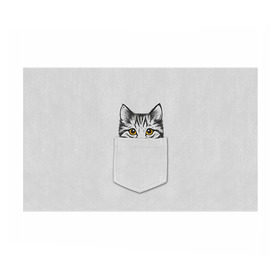 Бумага для упаковки 3D с принтом Кот в кармане 2 в Кировске, пластик и полированная сталь | круглая форма, металлическое крепление в виде кольца | animals | cat | kitty | животные | кот | котик