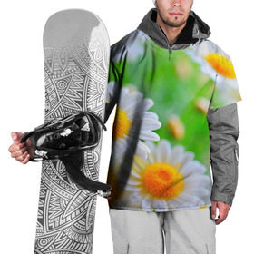Накидка на куртку 3D с принтом Ромашки в Кировске, 100% полиэстер |  | Тематика изображения на принте: фото | цветы