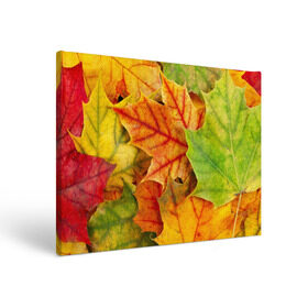 Холст прямоугольный с принтом Краски осени в Кировске, 100% ПВХ |  | листва | листья | осень