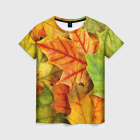 Женская футболка 3D с принтом Краски осени в Кировске, 100% полиэфир ( синтетическое хлопкоподобное полотно) | прямой крой, круглый вырез горловины, длина до линии бедер | листва | листья | осень