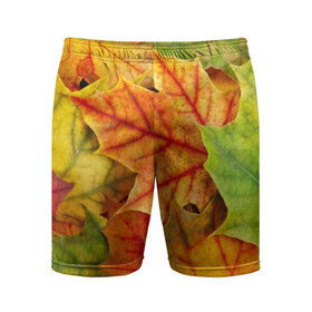Мужские шорты 3D спортивные с принтом Краски осени в Кировске,  |  | листва | листья | осень