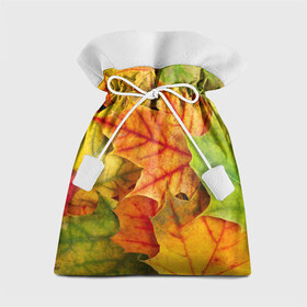 Подарочный 3D мешок с принтом Краски осени в Кировске, 100% полиэстер | Размер: 29*39 см | листва | листья | осень