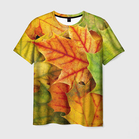 Мужская футболка 3D с принтом Краски осени в Кировске, 100% полиэфир | прямой крой, круглый вырез горловины, длина до линии бедер | листва | листья | осень