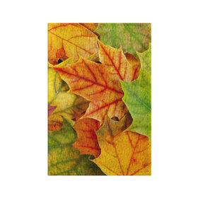 Обложка для паспорта матовая кожа с принтом Краски осени в Кировске, натуральная матовая кожа | размер 19,3 х 13,7 см; прозрачные пластиковые крепления | листва | листья | осень