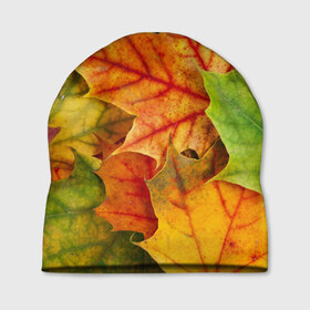 Шапка 3D с принтом Краски осени в Кировске, 100% полиэстер | универсальный размер, печать по всей поверхности изделия | листва | листья | осень