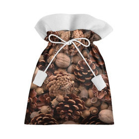 Подарочный 3D мешок с принтом Шишки и орешки в Кировске, 100% полиэстер | Размер: 29*39 см | Тематика изображения на принте: дуб | ёлка | ель | жёлудь | иголки | кедр | лес | орех | орешки | осень | сосна | шишки