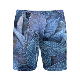 Мужские шорты 3D спортивные с принтом Застывшие листья в Кировске,  |  | иней | мороз | осень | холод