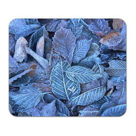 Коврик прямоугольный с принтом Застывшие листья в Кировске, натуральный каучук | размер 230 х 185 мм; запечатка лицевой стороны | иней | мороз | осень | холод