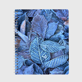 Тетрадь с принтом Застывшие листья в Кировске, 100% бумага | 48 листов, плотность листов — 60 г/м2, плотность картонной обложки — 250 г/м2. Листы скреплены сбоку удобной пружинной спиралью. Уголки страниц и обложки скругленные. Цвет линий — светло-серый
 | иней | мороз | осень | холод
