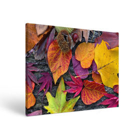 Холст прямоугольный с принтом Дары осени в Кировске, 100% ПВХ |  | жёлтый | золотой | красный | листва | листья | наряд | осень