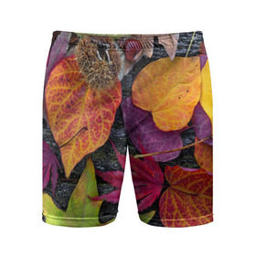 Мужские шорты 3D спортивные с принтом Дары осени в Кировске,  |  | жёлтый | золотой | красный | листва | листья | наряд | осень
