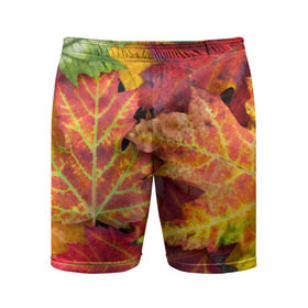 Мужские шорты 3D спортивные с принтом Осенняя пора в Кировске,  |  | жёлтый | красный | листва | листья | осень