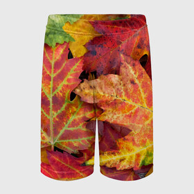 Детские спортивные шорты 3D с принтом Осенняя пора в Кировске,  100% полиэстер
 | пояс оформлен широкой мягкой резинкой, ткань тянется
 | жёлтый | красный | листва | листья | осень