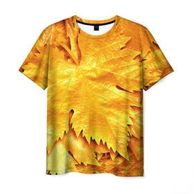 Мужская футболка 3D с принтом Золотая осень в Кировске, 100% полиэфир | прямой крой, круглый вырез горловины, длина до линии бедер | жёлтый | золотой | клён | красота | листва | листья | наряд | осень | осина | покров | природа