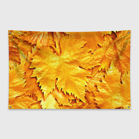 Флаг-баннер с принтом Золотая осень в Кировске, 100% полиэстер | размер 67 х 109 см, плотность ткани — 95 г/м2; по краям флага есть четыре люверса для крепления | жёлтый | золотой | клён | красота | листва | листья | наряд | осень | осина | покров | природа