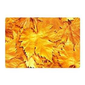 Магнитный плакат 3Х2 с принтом Золотая осень в Кировске, Полимерный материал с магнитным слоем | 6 деталей размером 9*9 см | жёлтый | золотой | клён | красота | листва | листья | наряд | осень | осина | покров | природа