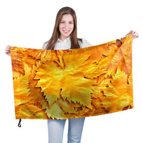 Флаг 3D с принтом Золотая осень в Кировске, 100% полиэстер | плотность ткани — 95 г/м2, размер — 67 х 109 см. Принт наносится с одной стороны | жёлтый | золотой | клён | красота | листва | листья | наряд | осень | осина | покров | природа