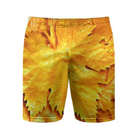 Мужские шорты 3D спортивные с принтом Золотая осень в Кировске,  |  | жёлтый | золотой | клён | красота | листва | листья | наряд | осень | осина | покров | природа