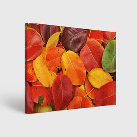 Холст прямоугольный с принтом Осенний покров в Кировске, 100% ПВХ |  | жёлтый | золотой | красный | листва | листья | осень