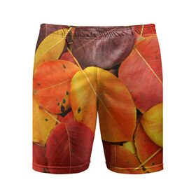 Мужские шорты 3D спортивные с принтом Осенний покров в Кировске,  |  | жёлтый | золотой | красный | листва | листья | осень