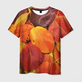 Мужская футболка 3D с принтом Осенний покров в Кировске, 100% полиэфир | прямой крой, круглый вырез горловины, длина до линии бедер | жёлтый | золотой | красный | листва | листья | осень