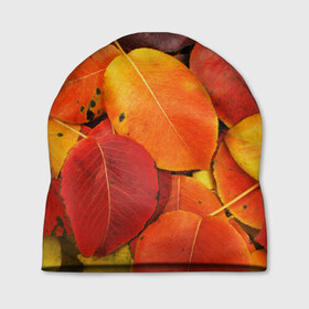Шапка 3D с принтом Осенний покров в Кировске, 100% полиэстер | универсальный размер, печать по всей поверхности изделия | жёлтый | золотой | красный | листва | листья | осень