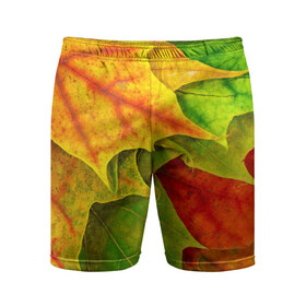 Мужские шорты 3D спортивные с принтом Осенний наряд в Кировске,  |  | жёлтый | зелёный | красный | листва | листья | оранжевый