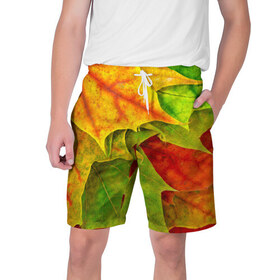 Мужские шорты 3D с принтом Осенний наряд в Кировске,  полиэстер 100% | прямой крой, два кармана без застежек по бокам. Мягкая трикотажная резинка на поясе, внутри которой широкие завязки. Длина чуть выше колен | жёлтый | зелёный | красный | листва | листья | оранжевый