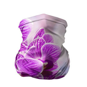 Бандана-труба 3D с принтом Божественная орхидея в Кировске, 100% полиэстер, ткань с особыми свойствами — Activecool | плотность 150‒180 г/м2; хорошо тянется, но сохраняет форму | Тематика изображения на принте: 8 марта | букет | весна | красота | куст | лето | орхидея | подарок | сиреневый цвет | цветок | шикарный цветочек