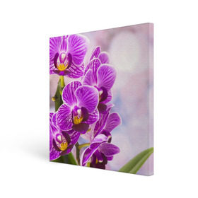 Холст квадратный с принтом Божественная орхидея в Кировске, 100% ПВХ |  | Тематика изображения на принте: 8 марта | букет | весна | красота | куст | лето | орхидея | подарок | сиреневый цвет | цветок | шикарный цветочек