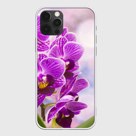 Чехол для iPhone 12 Pro Max с принтом Божественная орхидея в Кировске, Силикон |  | Тематика изображения на принте: 8 марта | букет | весна | красота | куст | лето | орхидея | подарок | сиреневый цвет | цветок | шикарный цветочек
