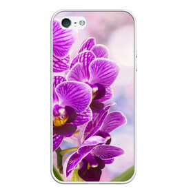 Чехол для iPhone 5/5S матовый с принтом Божественная орхидея в Кировске, Силикон | Область печати: задняя сторона чехла, без боковых панелей | 8 марта | букет | весна | красота | куст | лето | орхидея | подарок | сиреневый цвет | цветок | шикарный цветочек