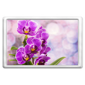 Магнит 45*70 с принтом Божественная орхидея в Кировске, Пластик | Размер: 78*52 мм; Размер печати: 70*45 | 8 марта | букет | весна | красота | куст | лето | орхидея | подарок | сиреневый цвет | цветок | шикарный цветочек