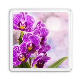 Магнит 55*55 с принтом Божественная орхидея в Кировске, Пластик | Размер: 65*65 мм; Размер печати: 55*55 мм | Тематика изображения на принте: 8 марта | букет | весна | красота | куст | лето | орхидея | подарок | сиреневый цвет | цветок | шикарный цветочек